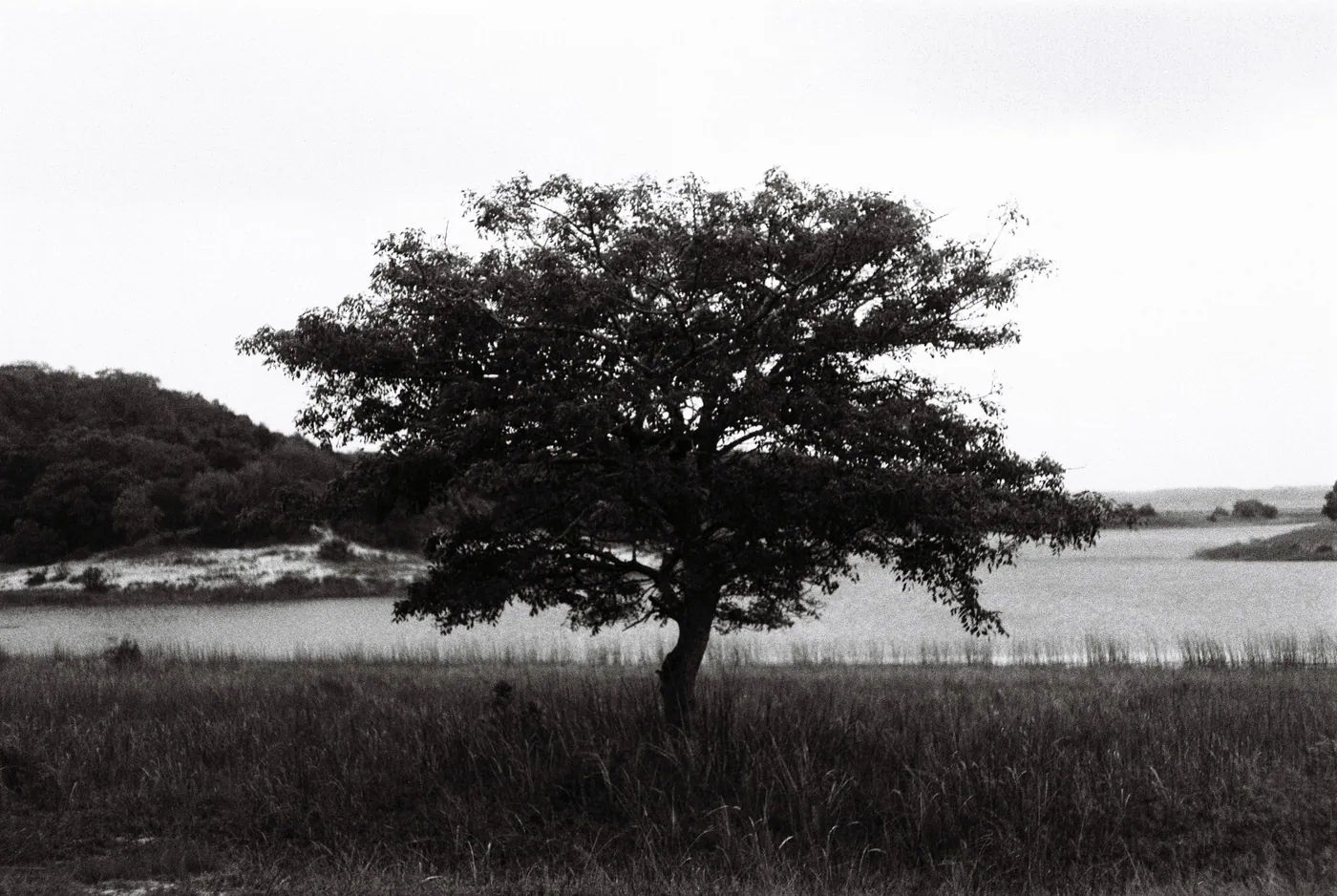 Photograph by Angus Mackenzie