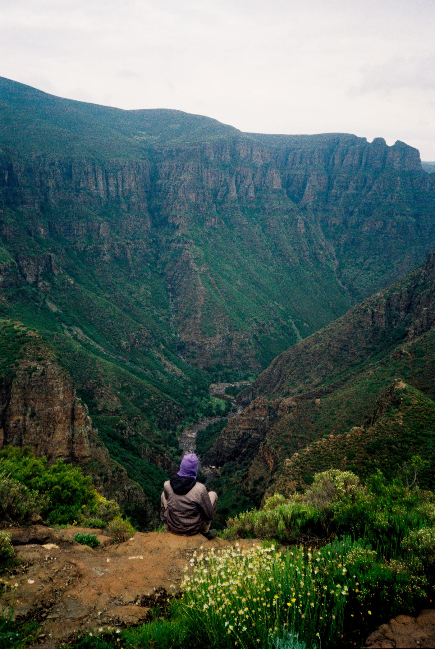 Photograph by Angus Mackenzie