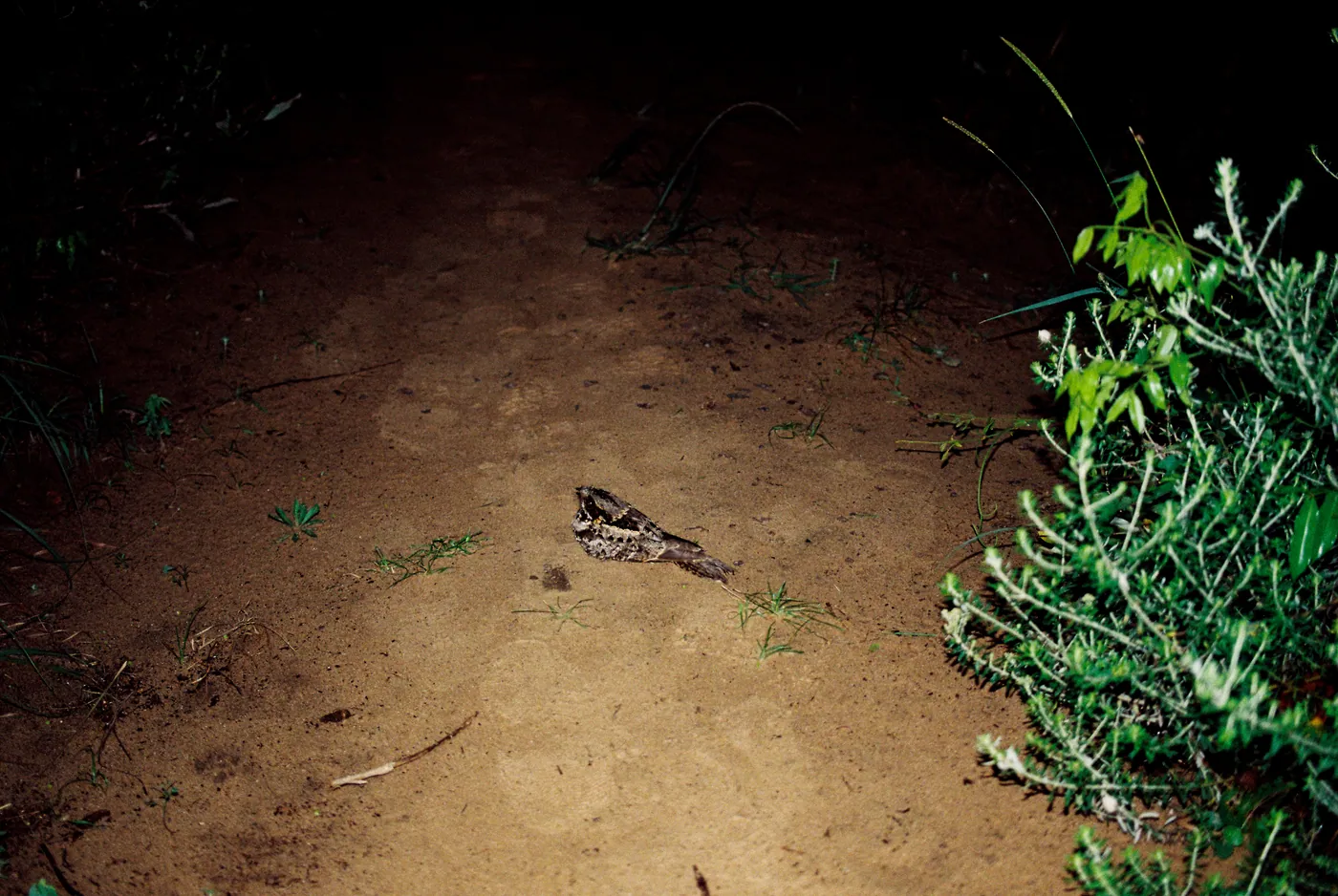 Photograph by Angus Mackenzie