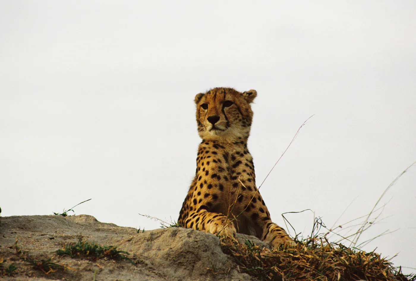 Photograph by Angus Mackenzie