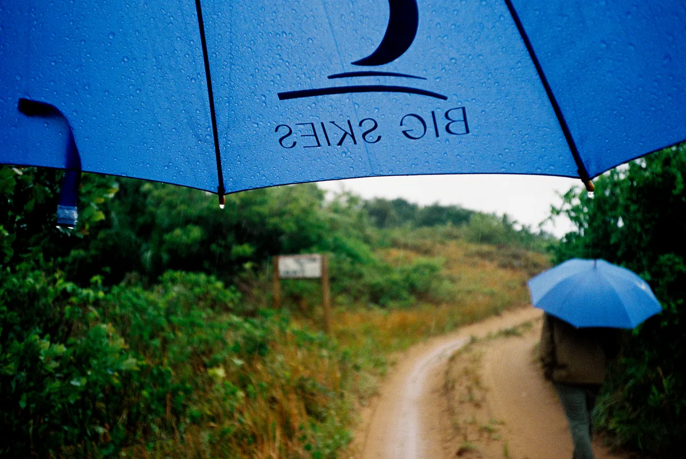 Photograph by Angus Mackenzie