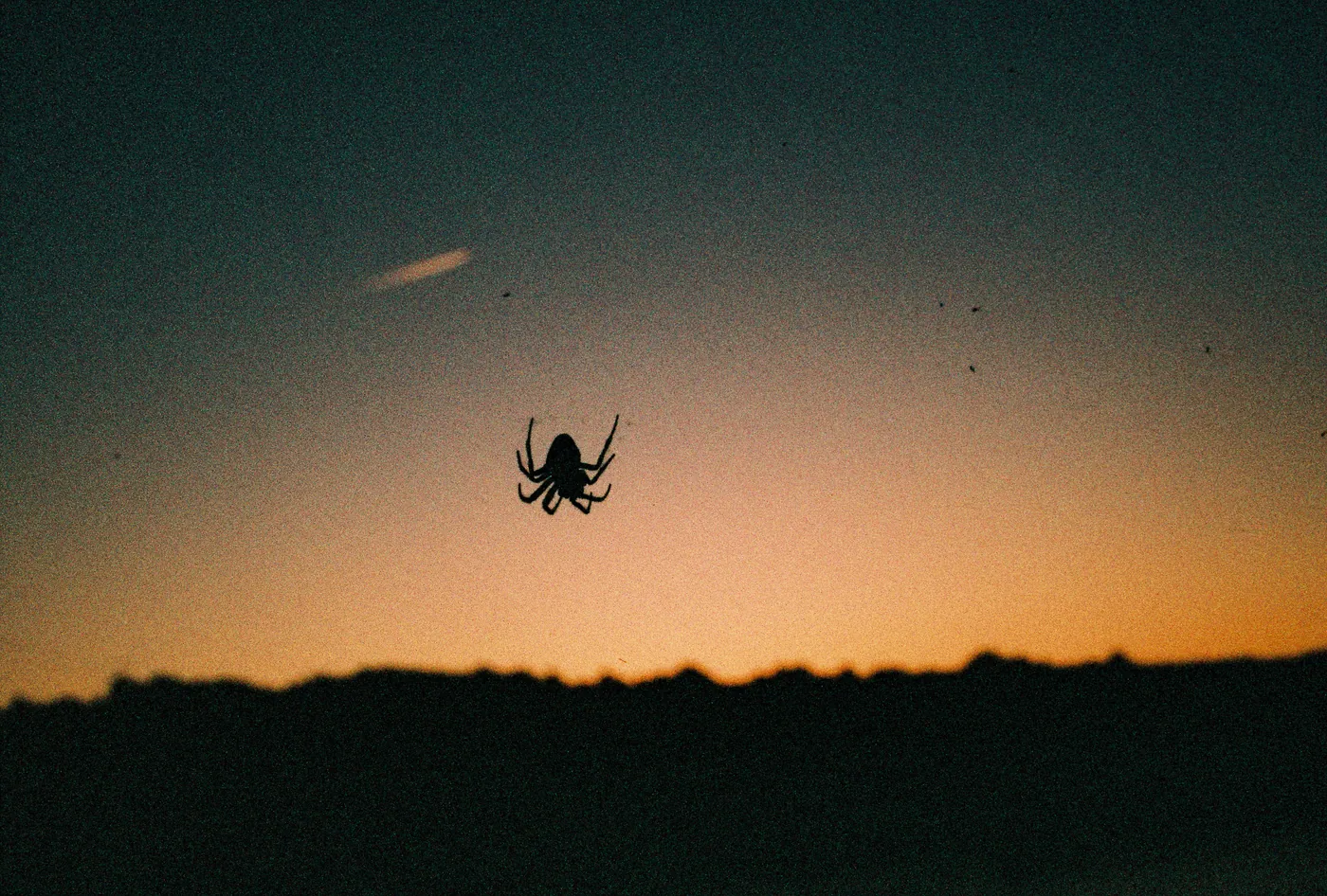Photograph by Angus Mackenzie