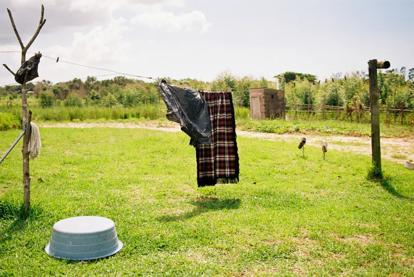 Photograph by Angus Mackenzie