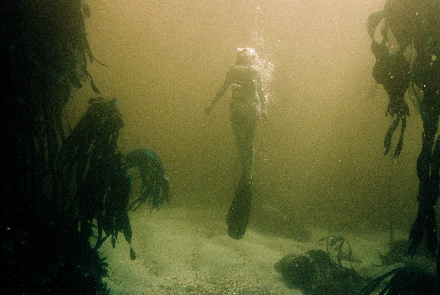 Photograph by Angus Mackenzie
