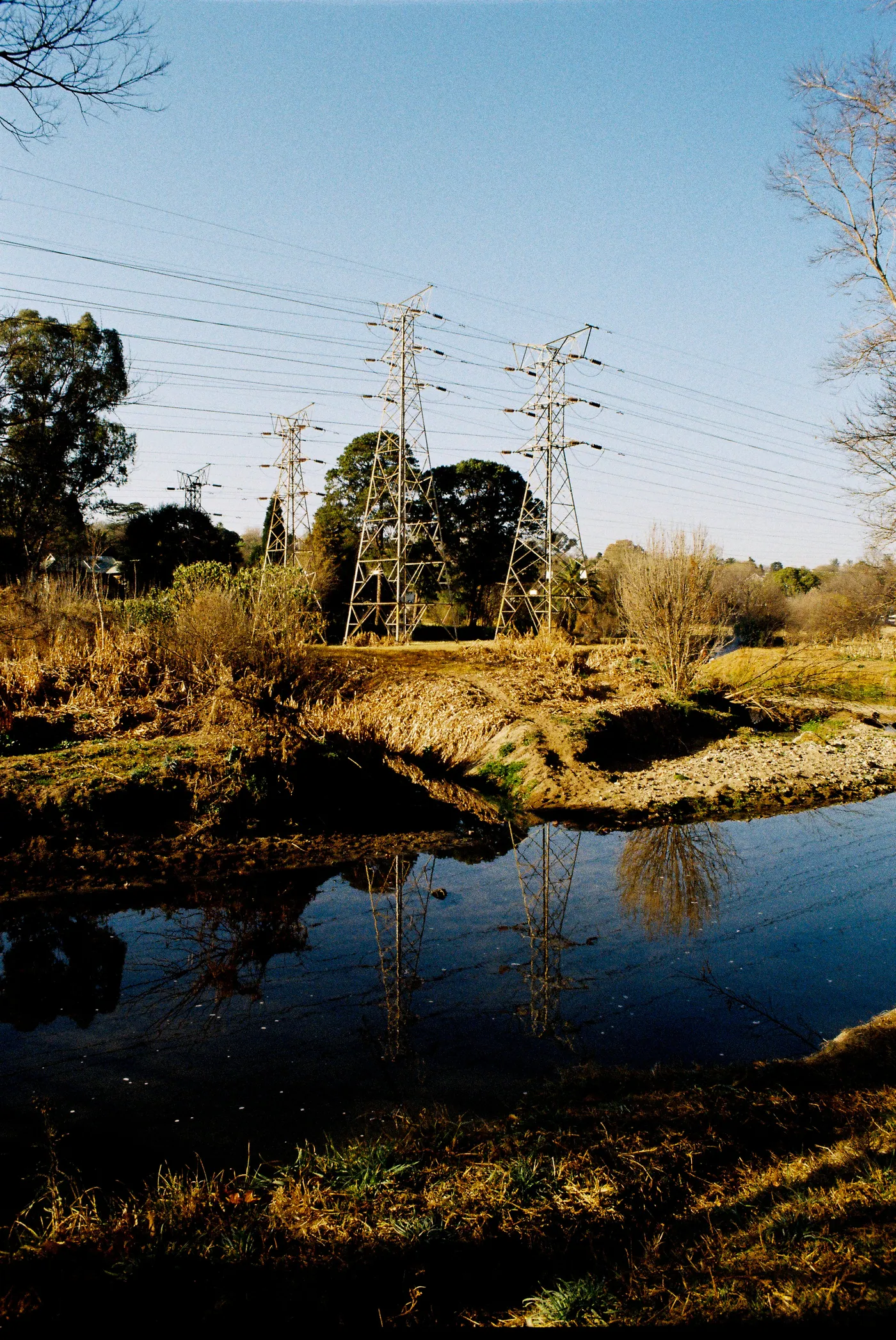 Photograph by Angus Mackenzie