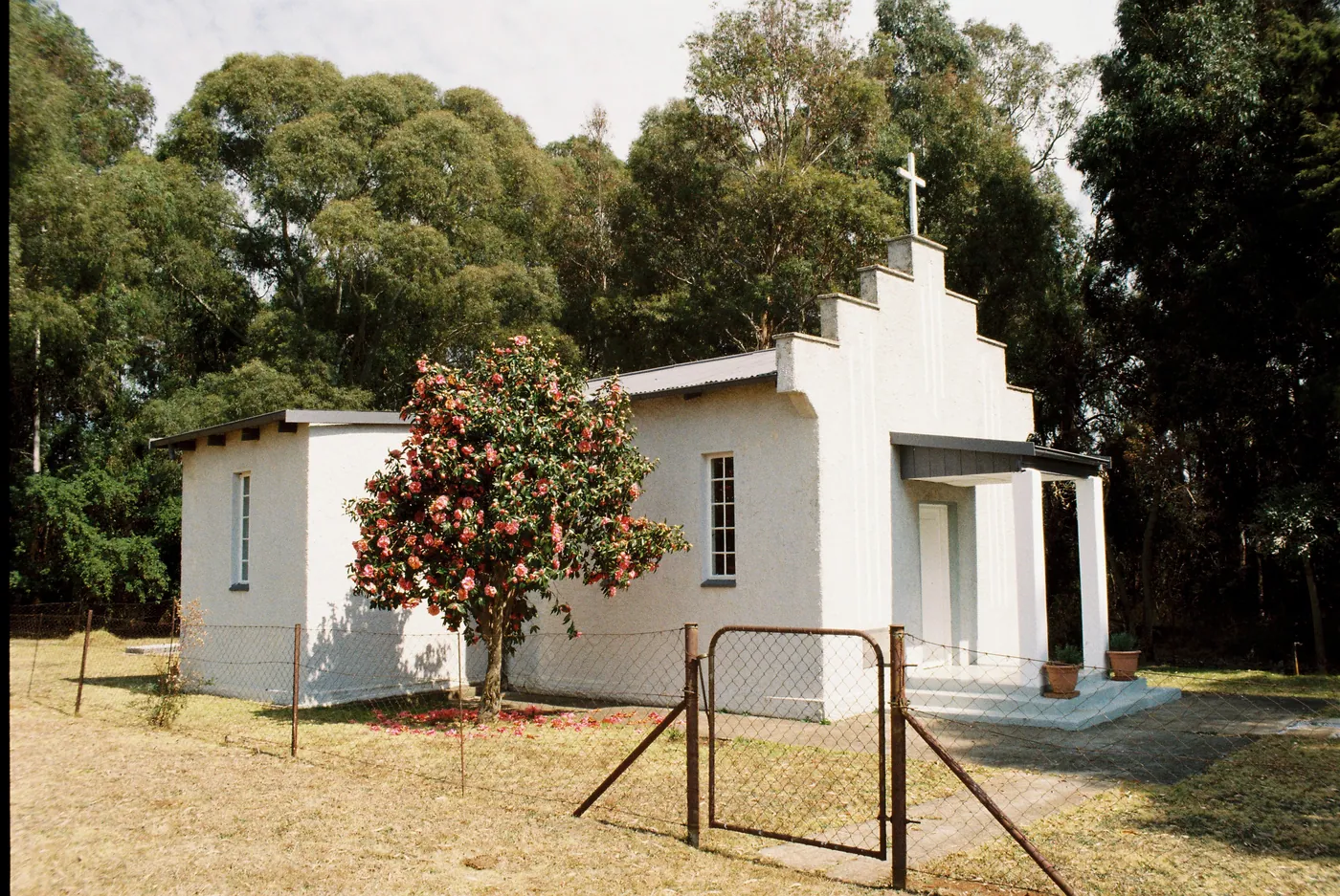Photograph by Angus Mackenzie