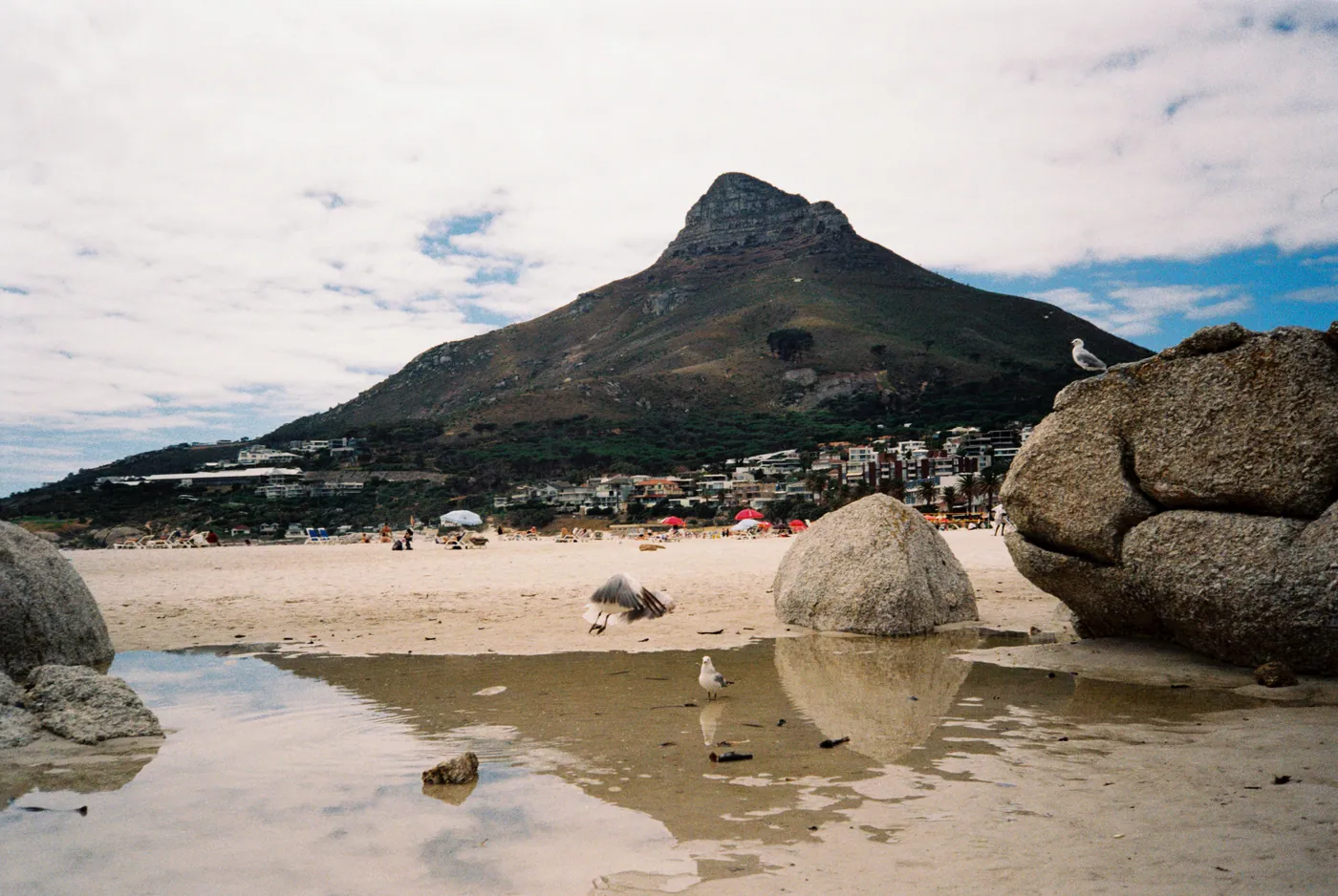 Photograph by Angus Mackenzie